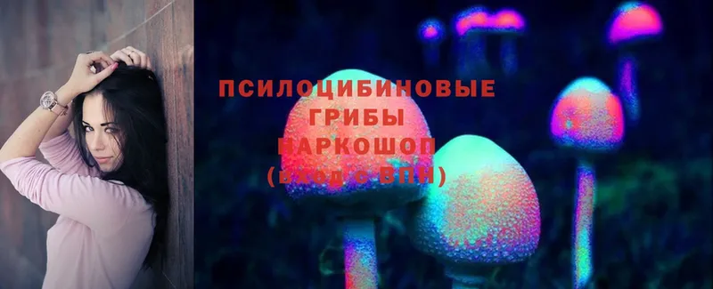 Галлюциногенные грибы Psilocybe  Химки 